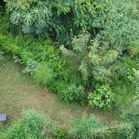 Osho Villa Guest House Джайпур Екстериор снимка