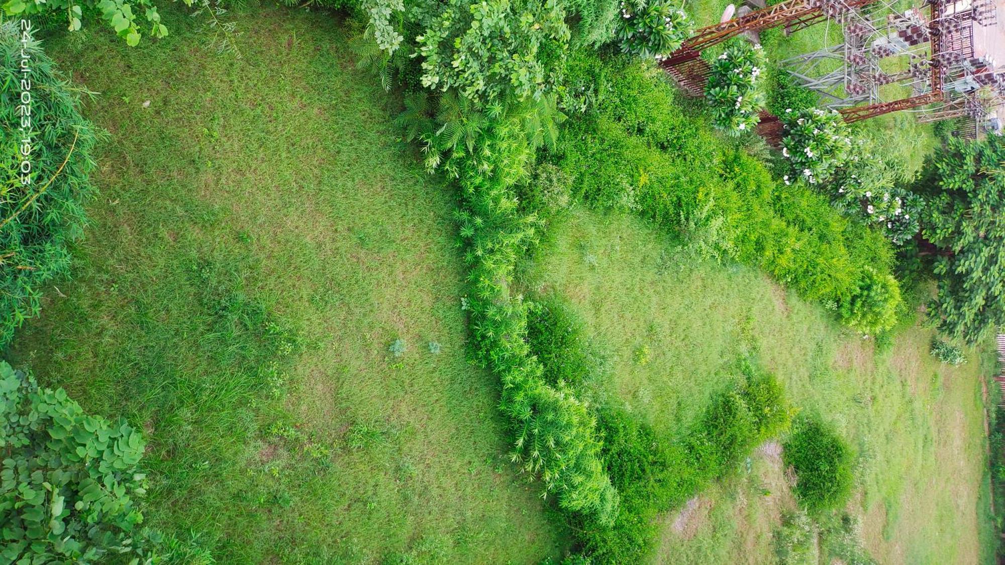 Osho Villa Guest House Джайпур Екстериор снимка