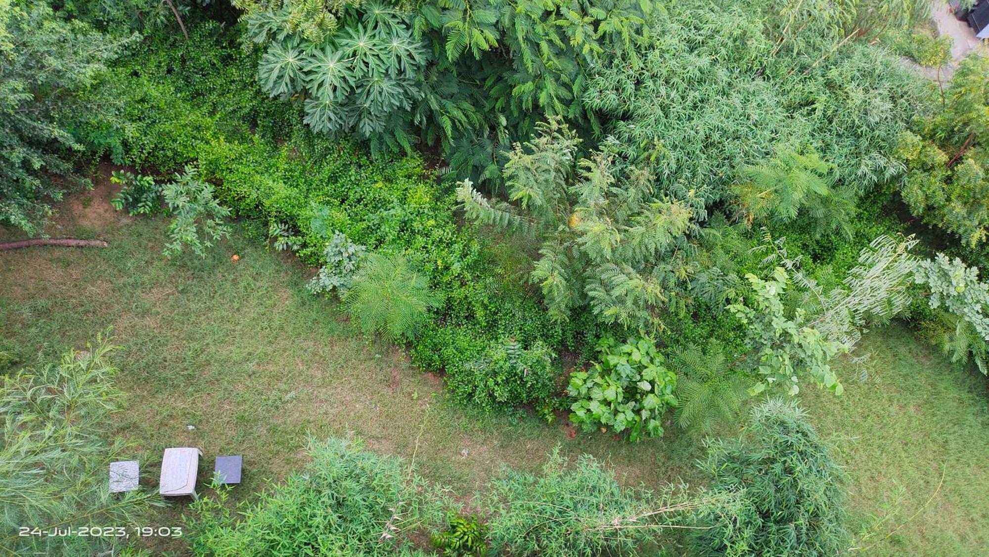 Osho Villa Guest House Джайпур Екстериор снимка